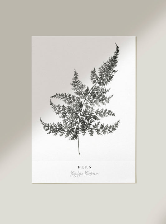 'Fern' giclee print. Unframed