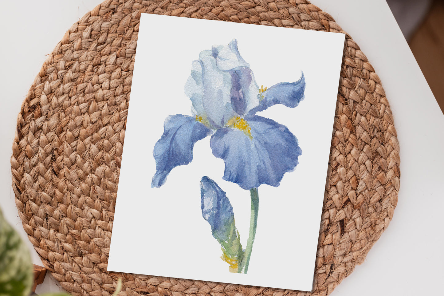 'Blue Iris' giclee print. Unframed