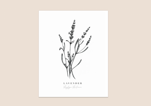 'Lavender' giclee print. Unframed