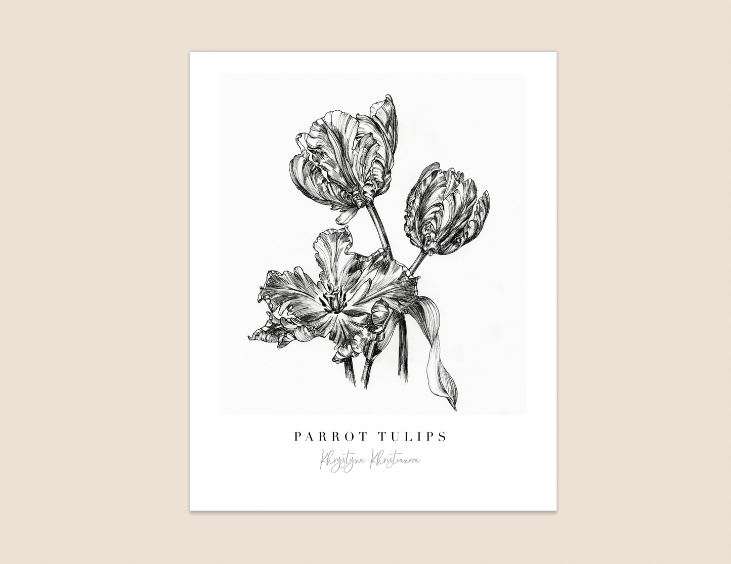 'Parrot Tulips' giclee print. Unframed