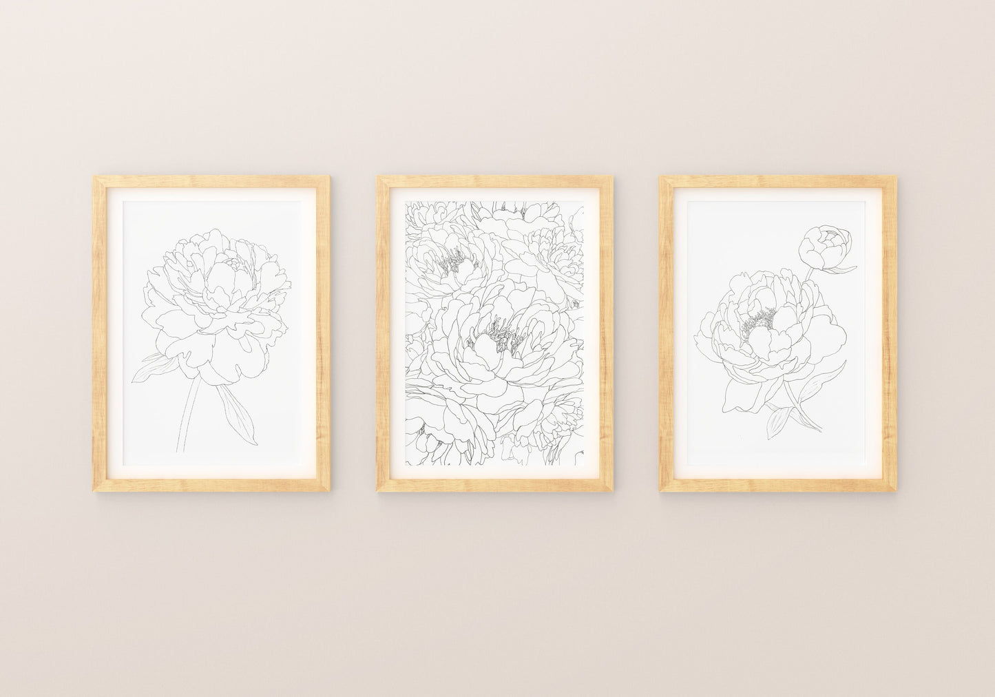 3 Peonies Prints Set flower prints. Unframed