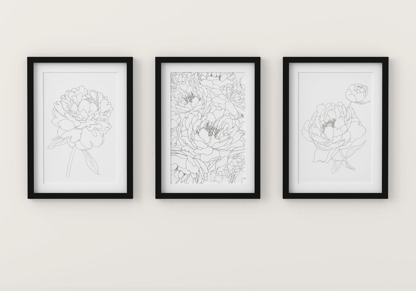 3 Peonies Prints Set flower prints. Unframed