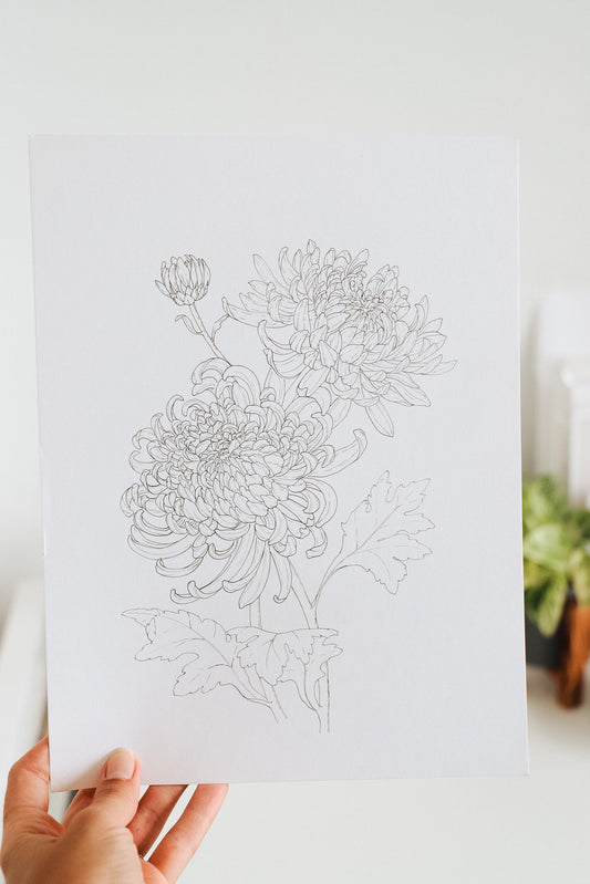 'Chrysanthemums' Original Ink Illustration. 9x12in