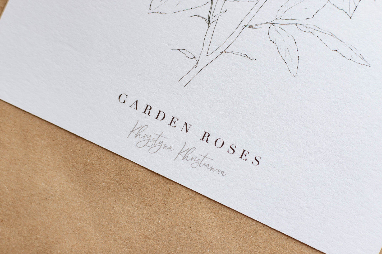 'Garden Rose Branch' giclee print. Unframed