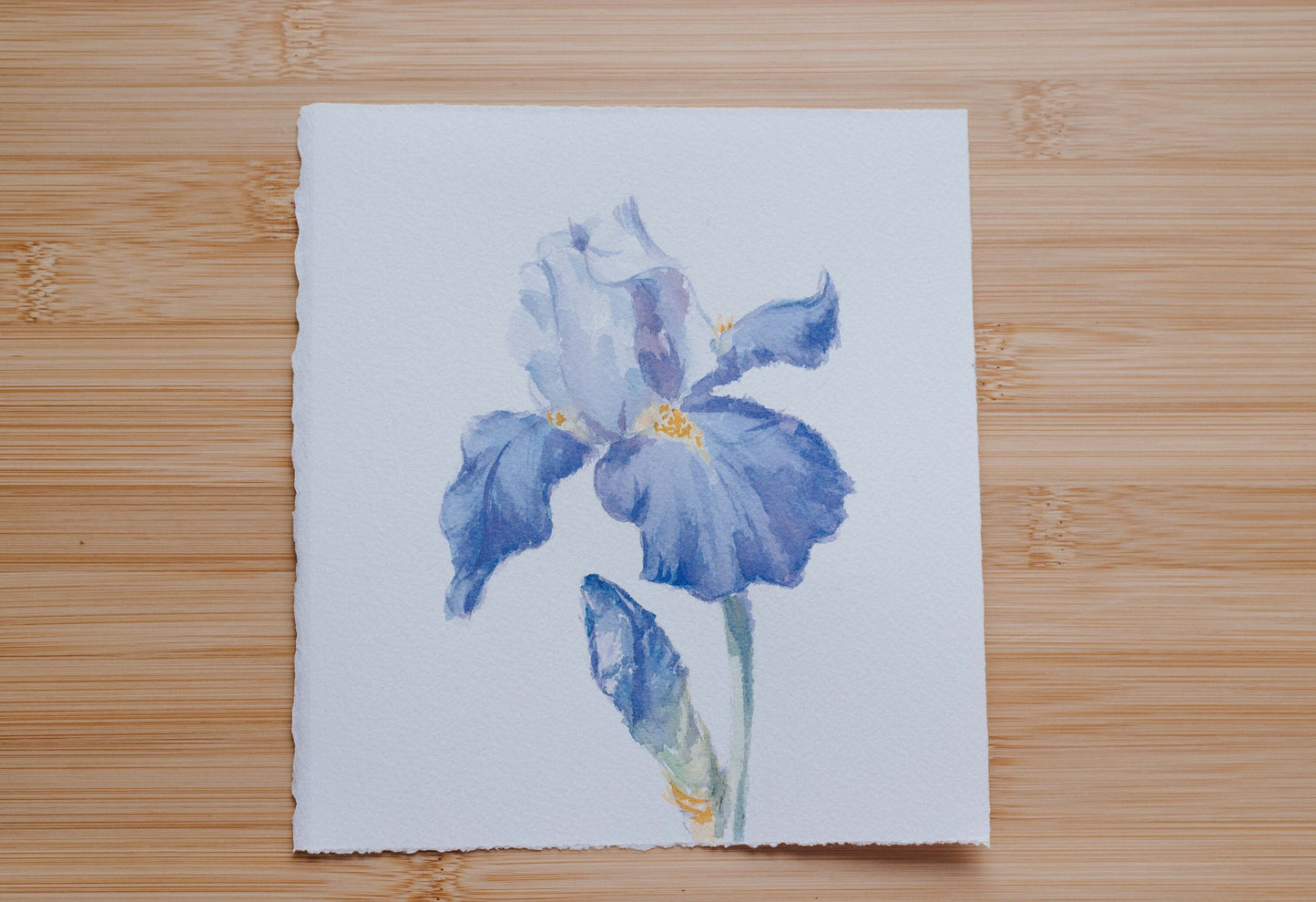 'Blue Iris' original watercolor illustration, 6.5x7in