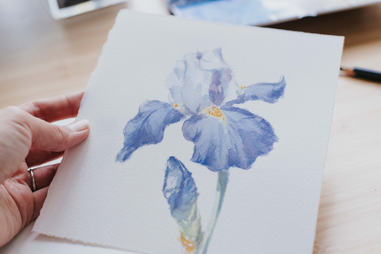 'Blue Iris' original watercolor illustration, 6.5x7in